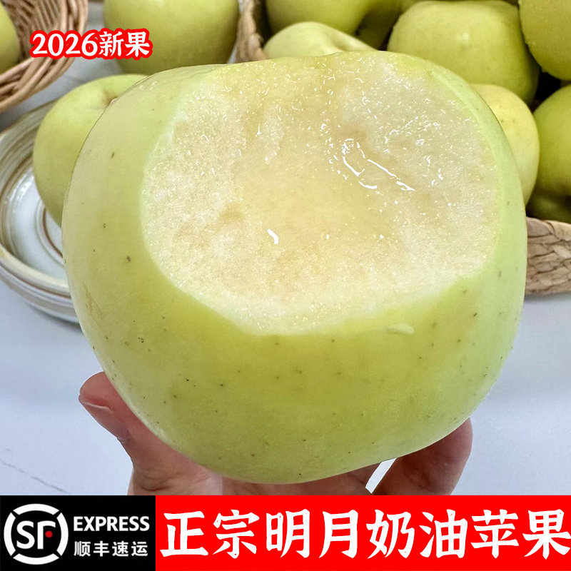 山东明月奶油苹果水果新鲜当季整箱正宗脆甜生鲜批发孕妇小苹果