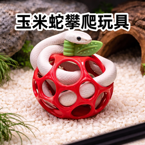 玉米蛇攀爬玩具软胶洞洞球奶蛇类异宠互动造景装饰球爬宠软球小号