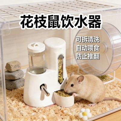花枝鼠自动喂食饮水二合一防翻