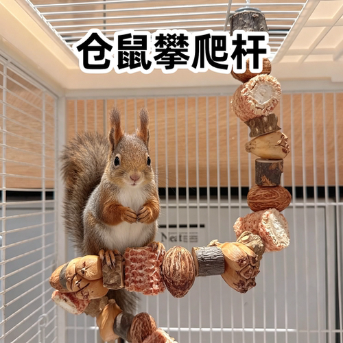 小松鼠攀爬玩具站杆木质爬杆笼子内专用爬架解闷造景玉米芯磨牙棒