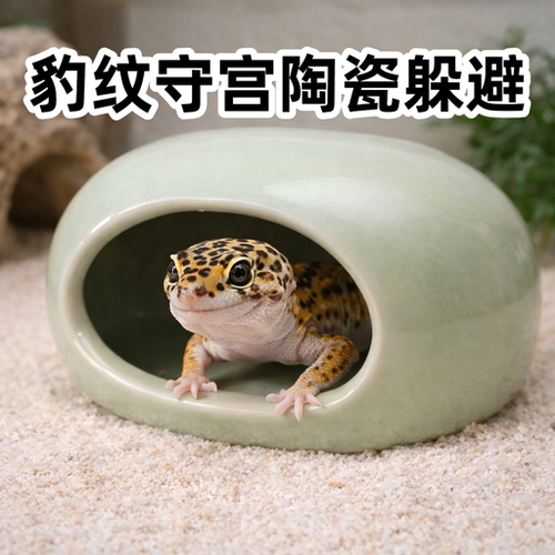 豹纹守宫幼体陶瓷躲避屋蜥蜴缸