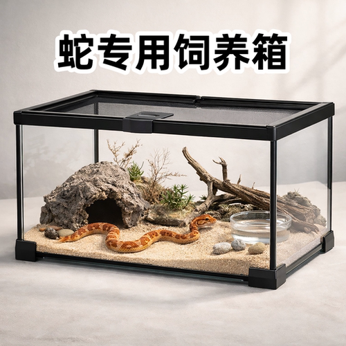 蛇类专用玻璃防逃生态饲养箱