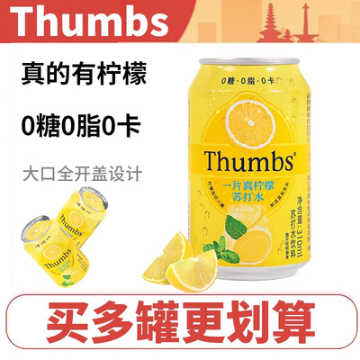 一片真柠檬苏打水0糖饮料310ml