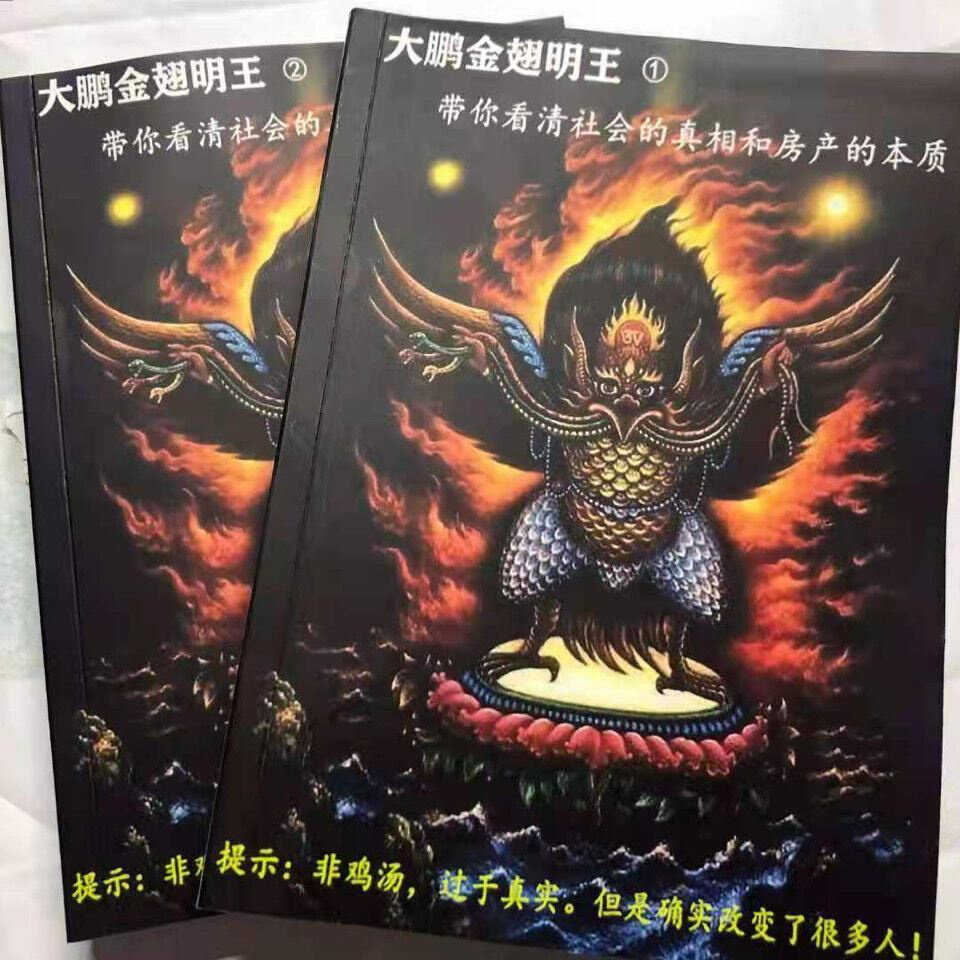 本质大鹏金翅明王带你看清社会的真x相和思考的阶层绝版财富房产