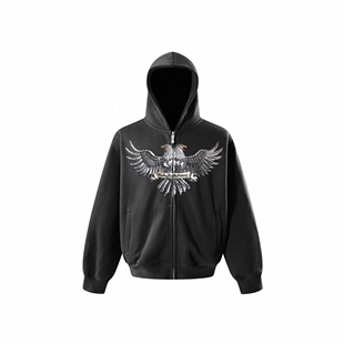 【官方正品】TheBoyHasNoPatience TBHNP 双头鹰烫钻连帽衫