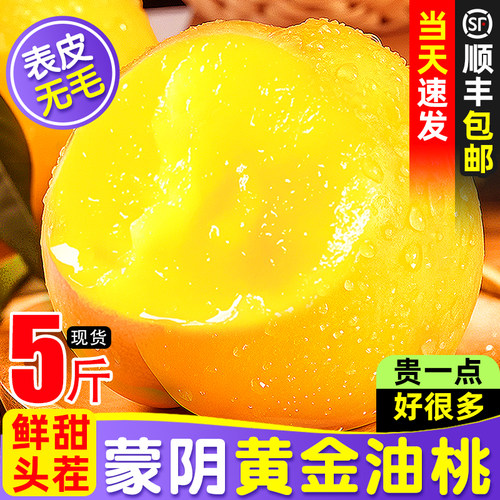 顺丰【东方甄选力荐】黄金油桃