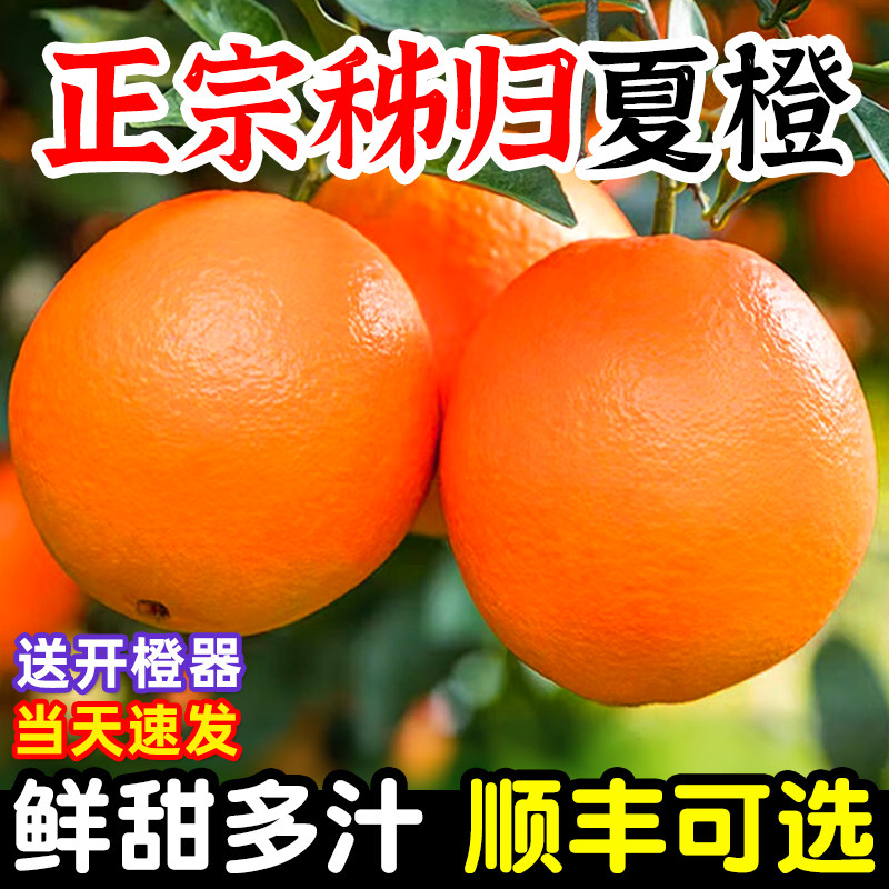 夏橙脐橙新鲜水果秭归橙子10斤当季整箱大果甜橙手剥榨汁顺丰鲜橙