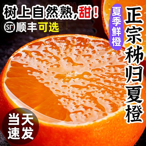 「官方推荐」正宗湖北秭归夏橙