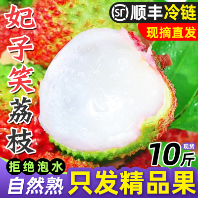 5A品质|顺丰妃子笑荔枝|现货