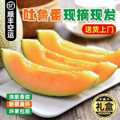 顺丰空运|新疆哈密瓜|礼盒装