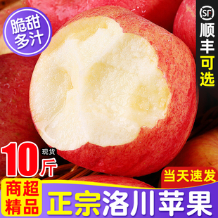 苹果水果新鲜当季整箱2025正宗陕西洛川产地直发10斤冰糖心红富士