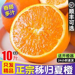 新鲜夏橙橙子10斤大果孕妇水果当季整箱秭归脐橙榨汁手剥果冻甜橙
