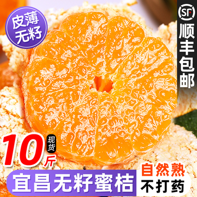 【5A品质】正宗宜昌无籽蜜桔