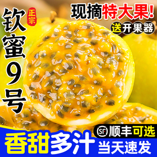 黄金百香果钦蜜9号5斤包邮特大果新鲜现摘孕妇当季整箱广西甜水果