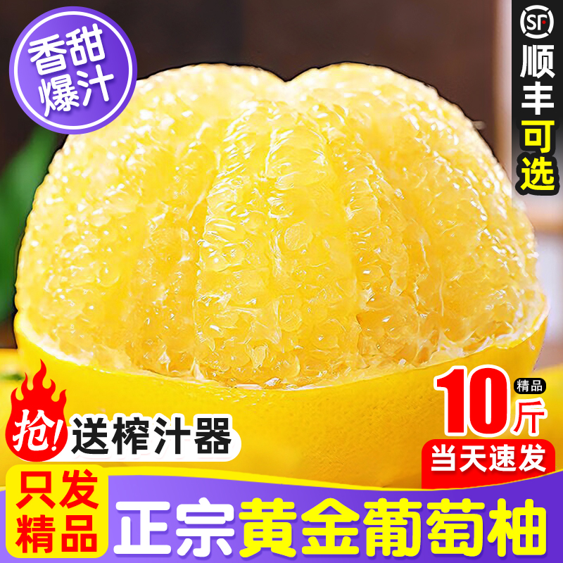 「官方推荐」爆汁福建黄金葡萄柚
