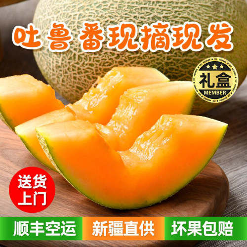 顺丰空运到家|正宗新疆哈密瓜
