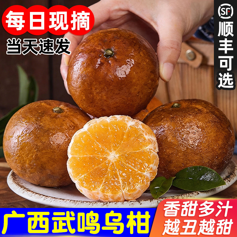 新鲜正宗广西乌柑黑皮沃柑10斤现摘水果当季整箱非洲丑柑橘脏脏柑