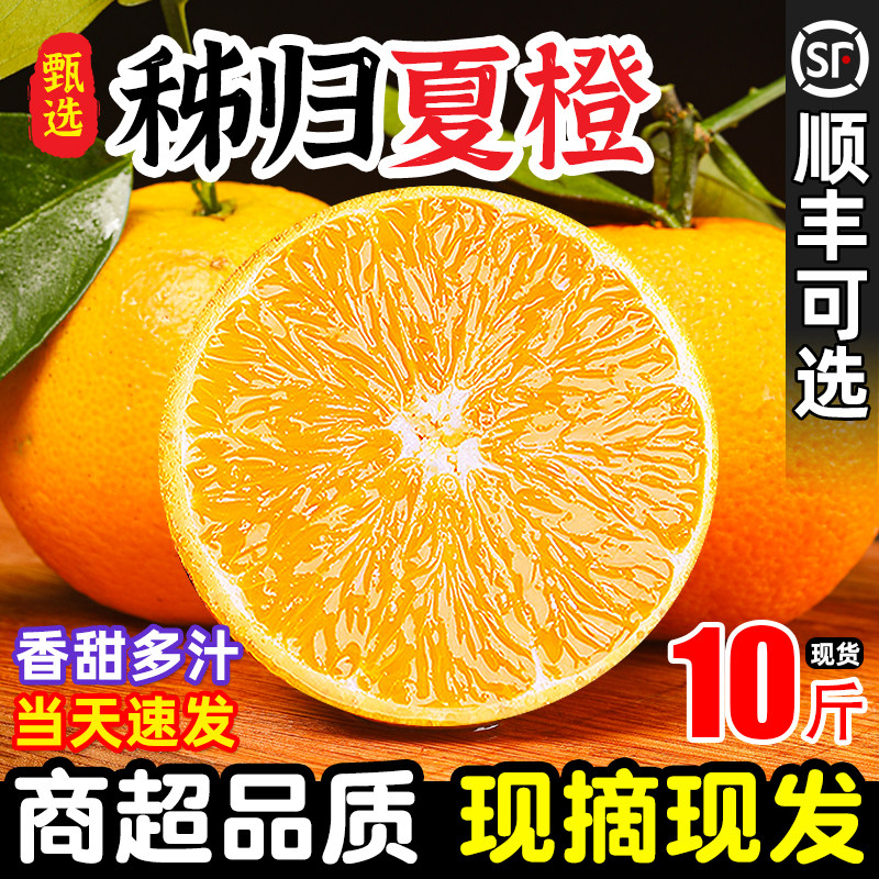 新鲜橙子夏橙脐橙时令当季水果10斤大果整箱手剥榨汁专用秭归鲜橙