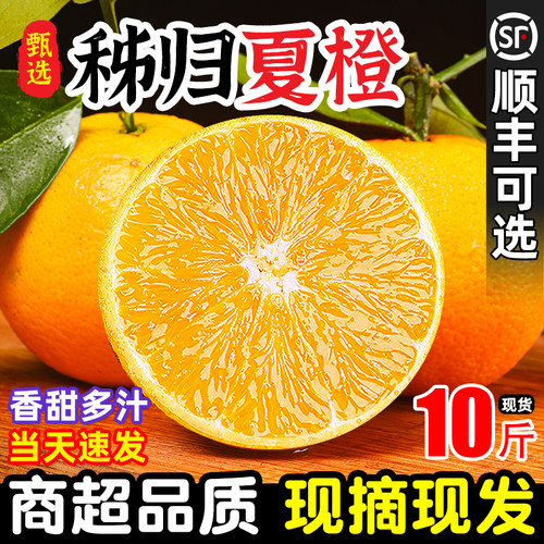 5A品质「官方推荐」正宗秭归脐橙