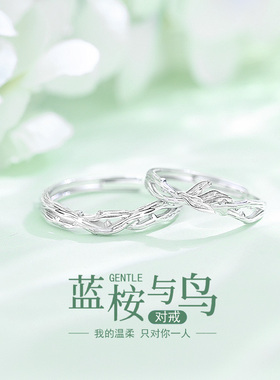 蓝桉已遇释槐鸟情侣款纯银戒指男女一对刻字轻奢高级感学生党对戒