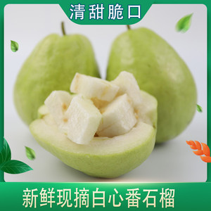广西亚热带水果9斤白心芭乐当季新鲜水果白番石榴清甜可口包邮