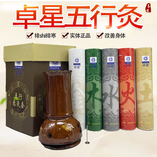 艾灸美容院祛湿熏蒸仪