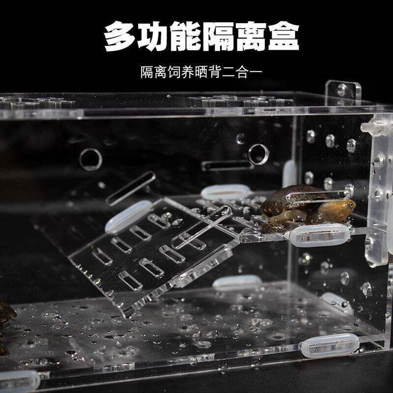 鱼缸内乌龟隔离盒发色盒内亚克力悬浮晒台吸盘孵化器白色透明红面