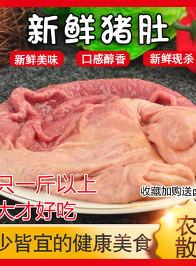 新鲜猪肚3只3.3斤以上内脏