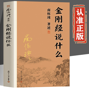 金刚经说什么正版书籍南怀瑾著 复旦大学出版社珍藏版 金刚经到底在说什么 南怀瑾的书