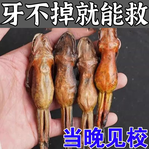 【牙不掉就能救】牙龈松动牙根外露固齿牙膏修复牙龈痛酸软出血MH-封面