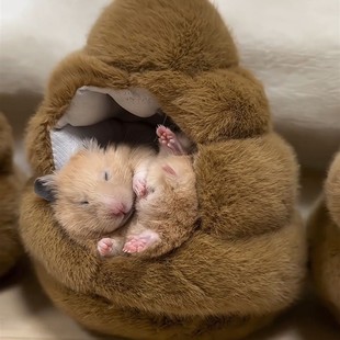 粑粑仓鼠窝冬季毛绒保暖过冬小房子金丝熊花枝鼠侏儒鼠睡觉躲避屋