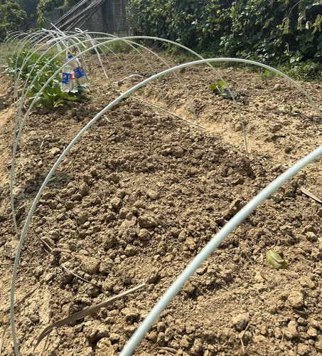 寿命长可反复使用温室大棚支架