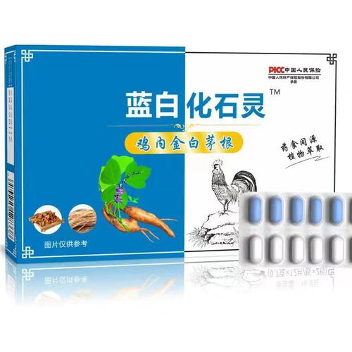 蓝白化石灵鸡内金白茅根蒲公英马