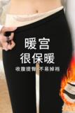 羊毛鲨鱼裤加厚加绒女外穿不掉档裤提臀瑜伽裤打底裤，女装打底裤，搜酷衣阁