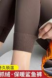 薄绒磨毛鲨鱼裤女外穿保暖加绒紧身高腰收腹打底瑜伽裤季，女装打底裤，搜酷衣阁