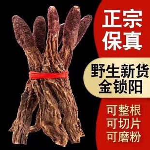 锁阳中药材正品特级野生金整根肉苁蓉片淫羊藿专用粉泡茶泡酒料水