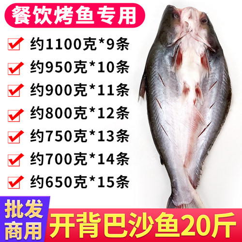 未腌制开背巴沙鱼整箱20斤