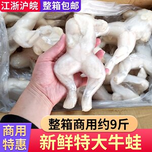 冷冻特大牛蛙整箱商用9斤