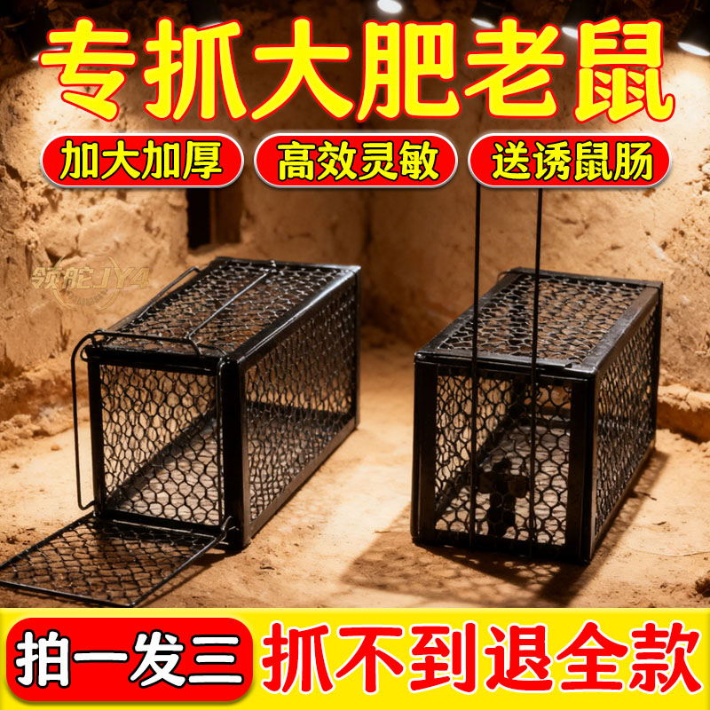 老鼠笼双弹簧锁框捕鼠笼家用捕鼠神器大号捕鼠器粘鼠板户外捕鼠笼