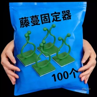 室外固定架植物园艺工具卡扣粘蔷薇藤蔓类爬墙爬藤固定器月季挂墙