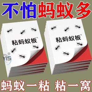 家用蚂蚁粘板蚂蚁贴厨房餐厅室内蚂蚁粘板蚂蚁跑不掉粘蝇纸粘虫板