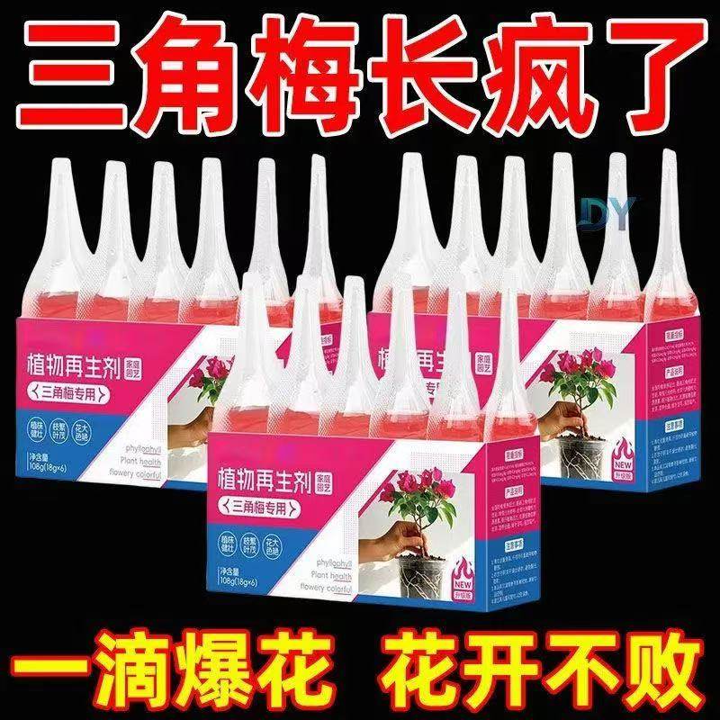 三角梅植物再生剂免稀释营养液绿植花卉盆栽水溶肥料家庭园艺促花,鲜花速递/花卉仿真/绿植园艺,家庭园艺肥料,淘宝优惠券,粉丝福利购,淘宝优惠卷