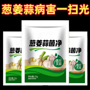 葱姜蒜菌净干尖灵黄叶强效杀菌剂疫疮痂枯萎炭疽叶面肥微生物菌剂