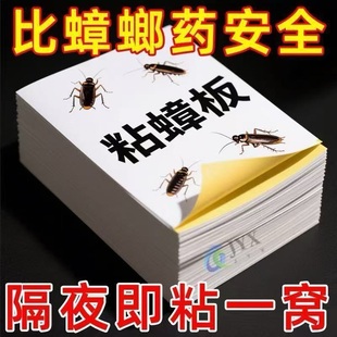 热卖 家用强效蟑螂粘板蟑螂贴厨房餐厅室内通粘蟑螂跑不了祛螨包