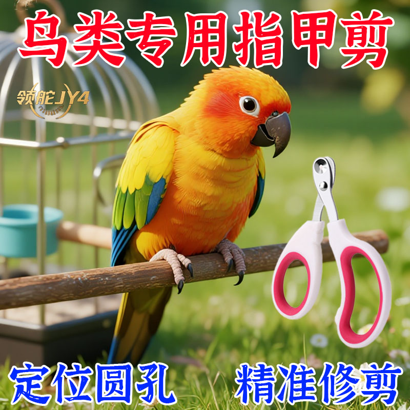 鸟类指甲剪养鸟专用工具安全单双圆孔防流血新手易上手精准修剪