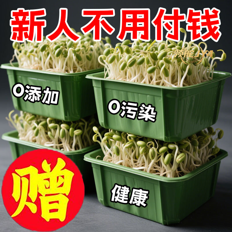 有机豆芽盒加厚避光食品级零添加操作简单快速发芽智能园艺用品