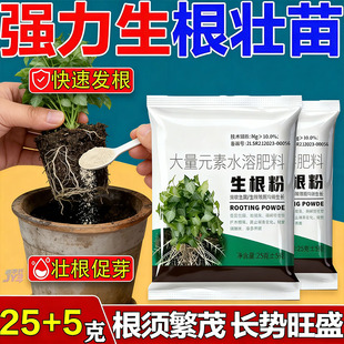 爆根】富贵竹专用生根粉水培植物防水发臭黄叶促生根快速焕发新根