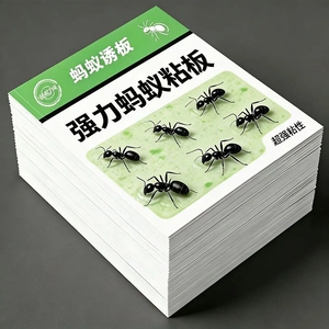 家用蚂蚁粘板蚂蚁贴厨房餐厅室内蚂蚁贴粘板强力粘捕虫器粘虫板