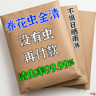 花卉土壤害虫驱虫药万能型家用花盆灭小黑飞植物蚧壳虫土壤杀虫剂