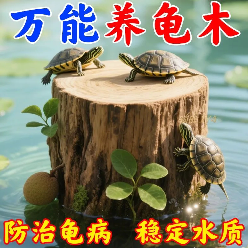 龙眼木乌龟晒台预防龟病稳定水质乌龟缸爬台休息台生态造景水龟